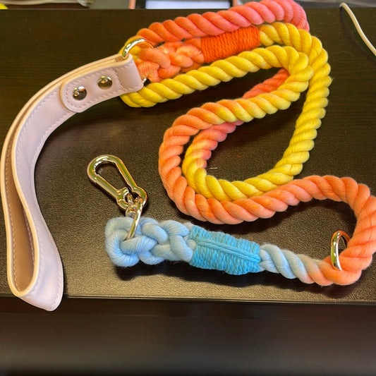 Rainbow color leash